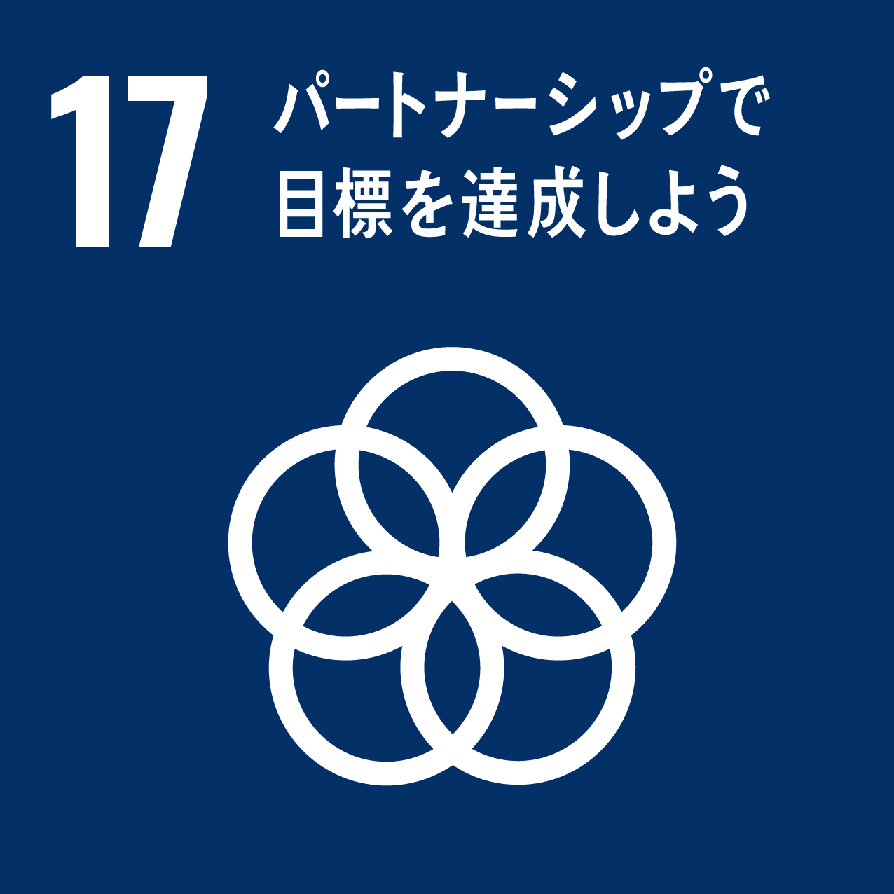 SDGs 目標17 アイコン